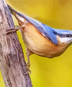 Female Nuthatch Bird Diamond Painting