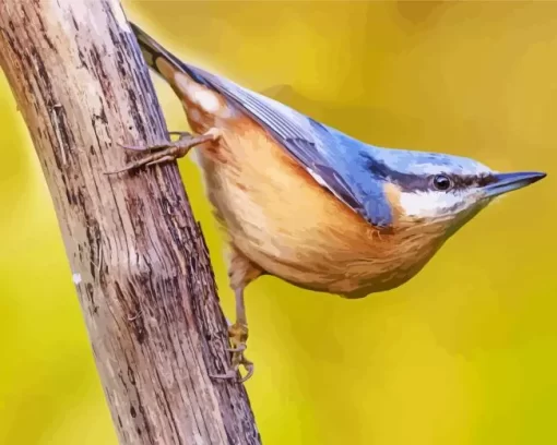 Female Nuthatch Bird Diamond Painting