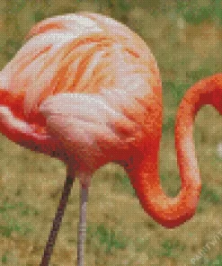 Flamingo Birds Diamond Painting