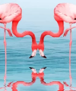 Flamingo Reflection Diamond Painting