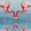 Flamingo Reflection Diamond Painting