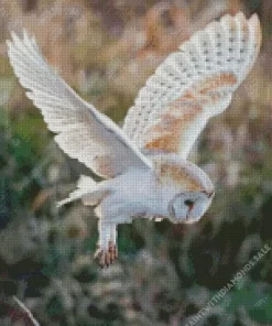 Flying Barn Owl Diamond Painting