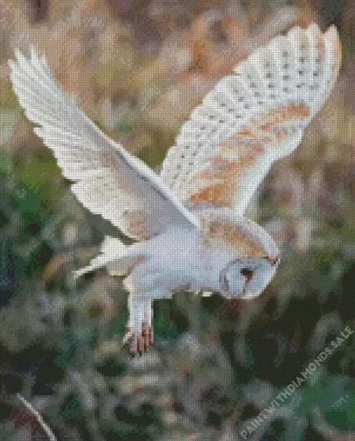 Flying Barn Owl Diamond Painting