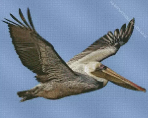 Flying Brown Pelican Diamond Painting