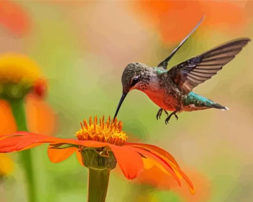 Flying Hummingbird Diamond Painting