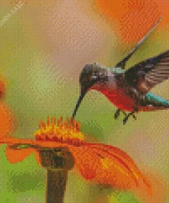 Flying Hummingbird Diamond Painting