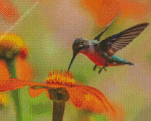 Flying Hummingbird Diamond Painting