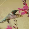 Flying Hummingbird Pink Flowers Diamond Painting