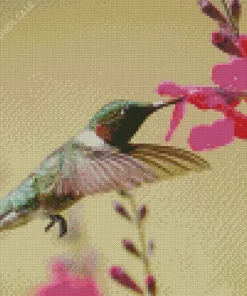 Flying Hummingbird Pink Flowers Diamond Painting