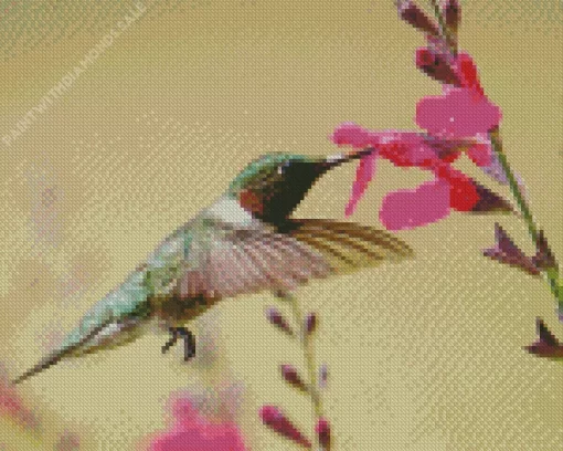 Flying Hummingbird Pink Flowers Diamond Painting