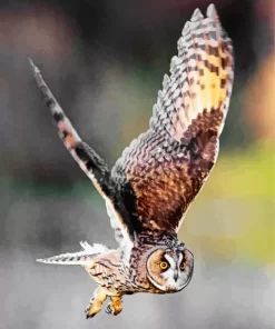 Flying Long Eared Owl Diamond Painting