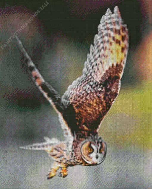 Flying Long Eared Owl Diamond Painting