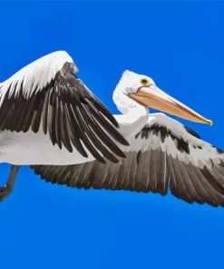 Flying Pelicans Diamond Painting