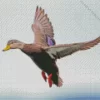 Flying Black Duck Diamond Painting