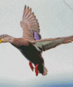 Flying Black Duck Diamond Painting