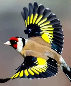 Flying Goldfinch Diamond Painting