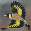 Flying Goldfinch Diamond Painting