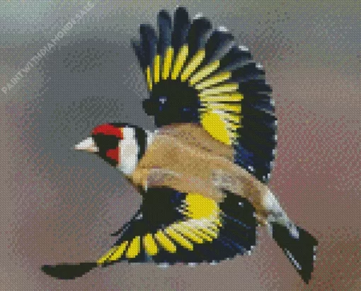 Flying Goldfinch Diamond Painting