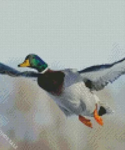 Flying Mallard Duck Diamond Painting