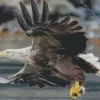 Flying Sea Eagle Diamond Painting