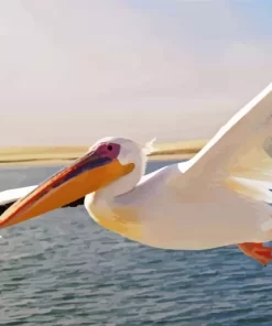 Flying White Pelican Bird Diamond Painting