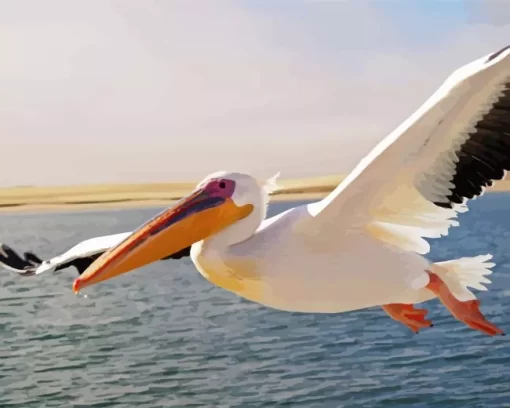 Flying White Pelican Bird Diamond Painting