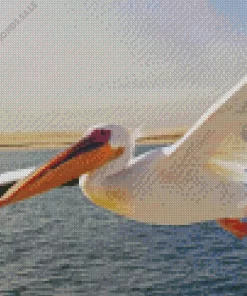 Flying White Pelican Bird Diamond Painting