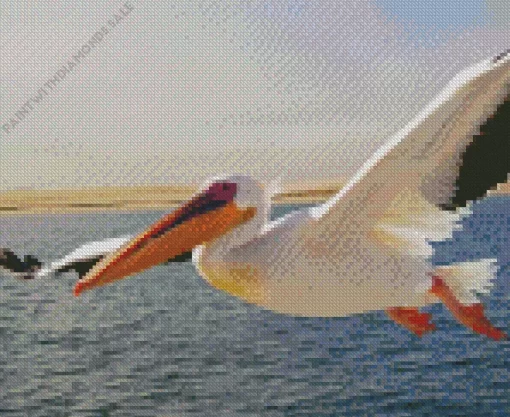 Flying White Pelican Bird Diamond Painting