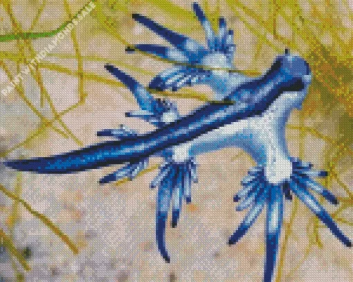 Glaucus Atlanticus Diamond Painting