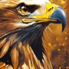 Golden Eagle Closeup Diamond Painting