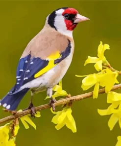 Goldfinch Bird And Yellow Flowers Diamond Painting