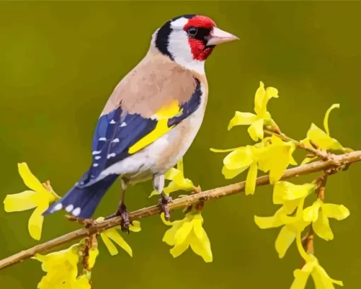 Goldfinch Bird And Yellow Flowers Diamond Painting