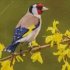 Goldfinch Bird And Yellow Flowers Diamond Painting