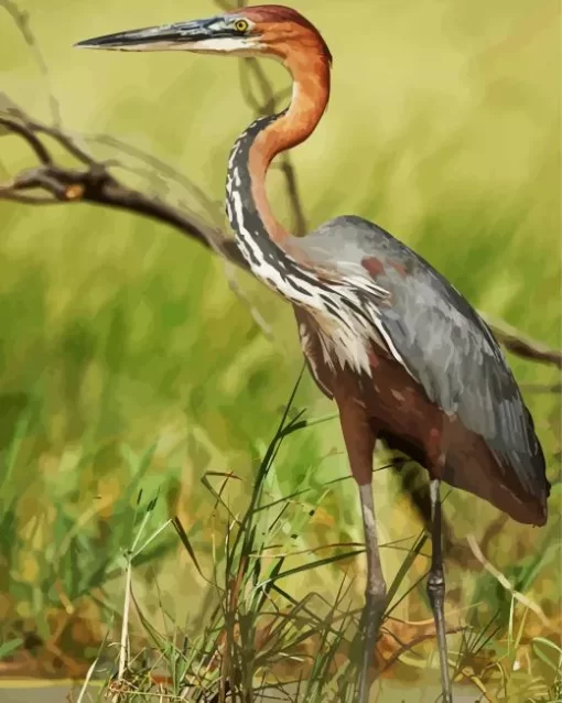 Goliath Heron Diamond Painting