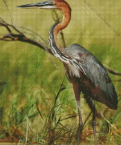 Goliath Heron Diamond Painting