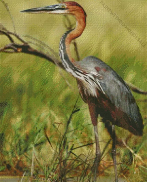 Goliath Heron Diamond Painting