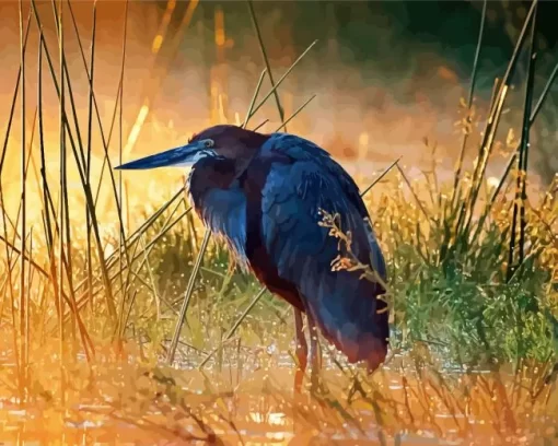 Goliath Heron At Sunset Diamond Painting