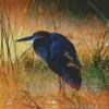 Goliath Heron At Sunset Diamond Painting