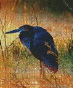 Goliath Heron At Sunset Diamond Painting