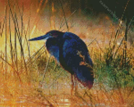 Goliath Heron At Sunset Diamond Painting