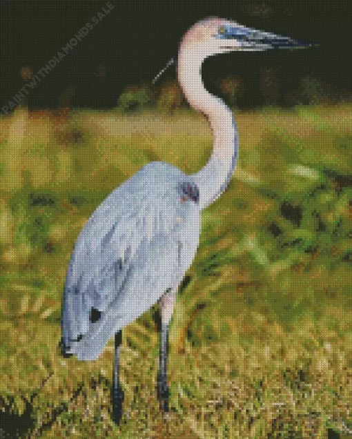 Goliath Heron Birds Diamond Painting