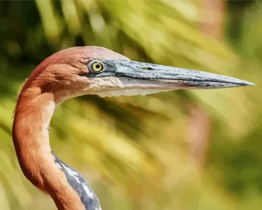 Goliath Heron Closeup Diamond Painting