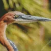 Goliath Heron Closeup Diamond Painting