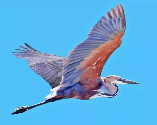 Goliath Heron Flying Bird Diamond Painting