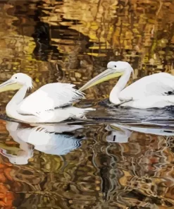 Great White Pelican Couple Diamond Painting