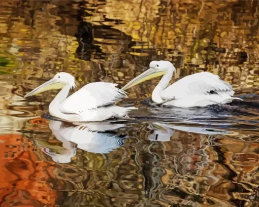 Great White Pelican Couple Diamond Painting