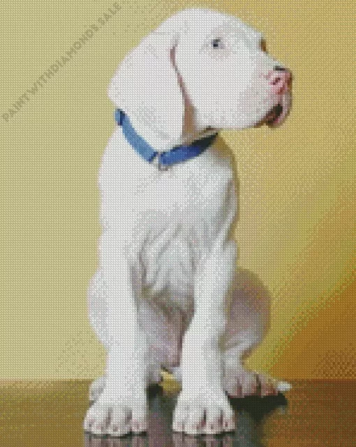 Great White Dane Puppy Diamond Painting