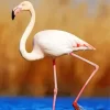 Greater Flamingo Diamond Painting