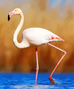 Greater Flamingo Diamond Painting