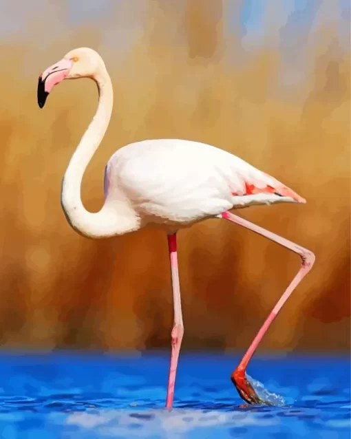 Greater Flamingo Diamond Painting